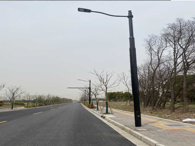 漳河新区上海综合杆 太阳能路灯工程